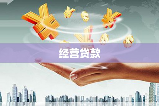 疏勒经营贷款