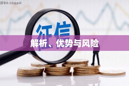 疏勒解析、优势与风险