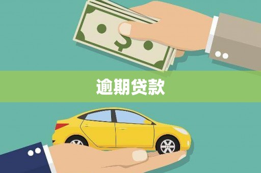 疏勒逾期贷款