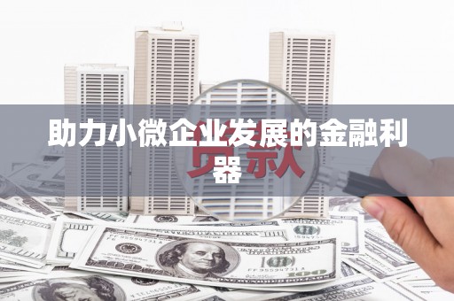 疏勒助力小微企业发展的金融利器
