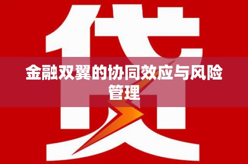 疏勒金融双翼的协同效应与风险管理