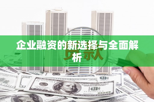 疏勒企业融资的新选择与全面解析