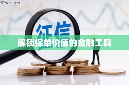 疏勒解锁保单价值的金融工具