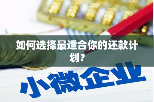 疏勒如何选择最适合你的还款计划？