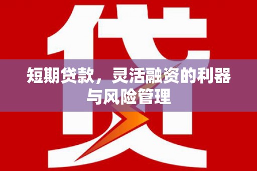 疏勒短期贷款，灵活融资的利器与风险管理