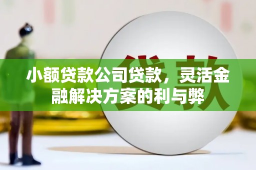 疏勒小额贷款公司贷款，灵活金融解决方案的利与弊