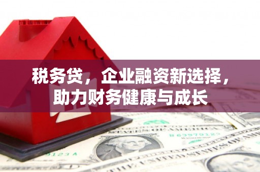 疏勒税务贷，企业融资新选择，助力财务健康与成长
